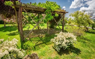 Pergola Fikirleri ile Bahçenizi Şekillendirin